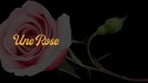 Une Rose 🌹