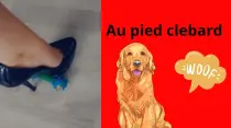 Au pied clébard