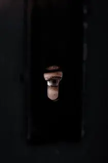 Expérience voyeurisme