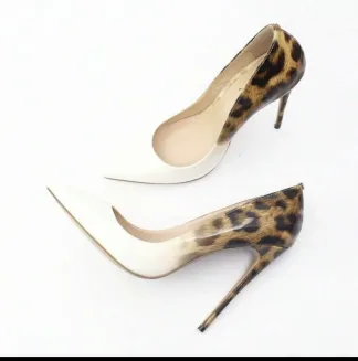 photo de la cagnotte