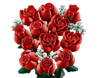 photo de la cagnotte