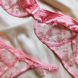 photo de la cagnotte