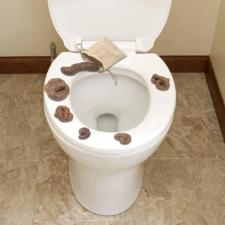 photo de la gourmandise toilette humain