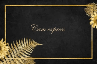 photo de la gourmandise Cam express ( max 3 min )
