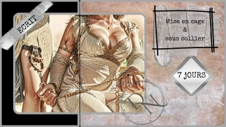photo de la gourmandise 🔐 Mise en Cage de Chasteté 🕒 14 Jours 🔐