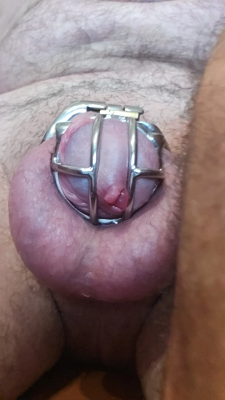 photo de la gourmandise tu notes ma bite en érection