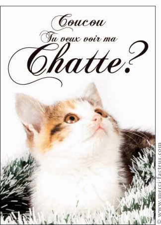 photo de la gourmandise Tu veux voir ma chatte ?