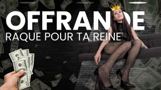 photo de la gourmandise OFFRANDE / TAXE MONEYSLAVE - 20€