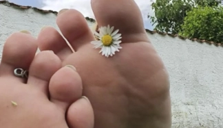 photo de la gourmandise Bouffe mes pieds transpirant et dégueulasse