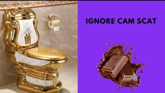 photo de la gourmandise Ignore cam toilettes