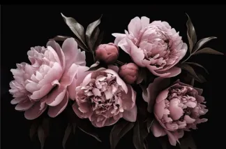 Une Délicate Pivoine pour Moi ? 🌸