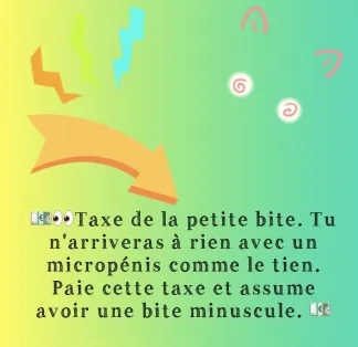 💶Taxe de la petite bite 💶