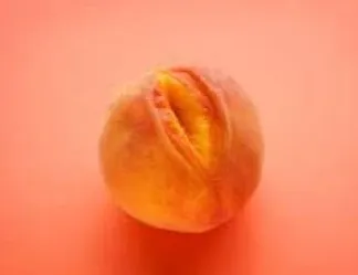 Photos et vidéo courte abricot poilu