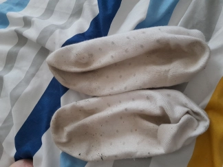 photo de la gourmandise Chaussettes portée 1 semaines