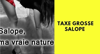 photo de la gourmandise Taxe grosse salope