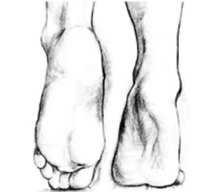 photo de la gourmandise Les jolies pieds de reine loly