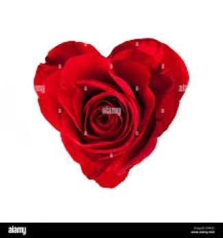 photo de la gourmandise offre moi une rose