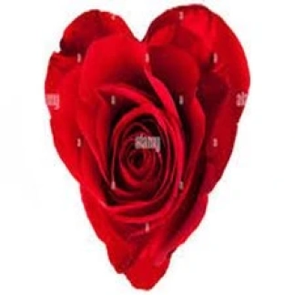 photo de la gourmandise offre moi une rose