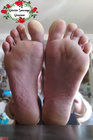 photo de la gourmandise Ignore cam pieds 5 minutes