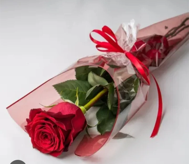 Photo de Offre moi une rose 🌹