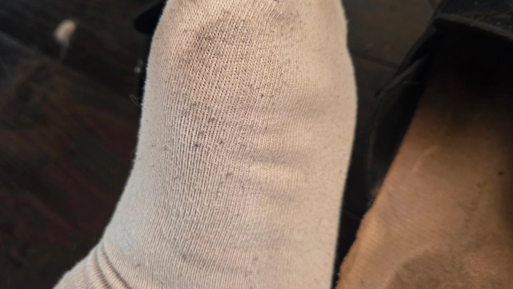 Photo de Chaussettes sales & odorantes