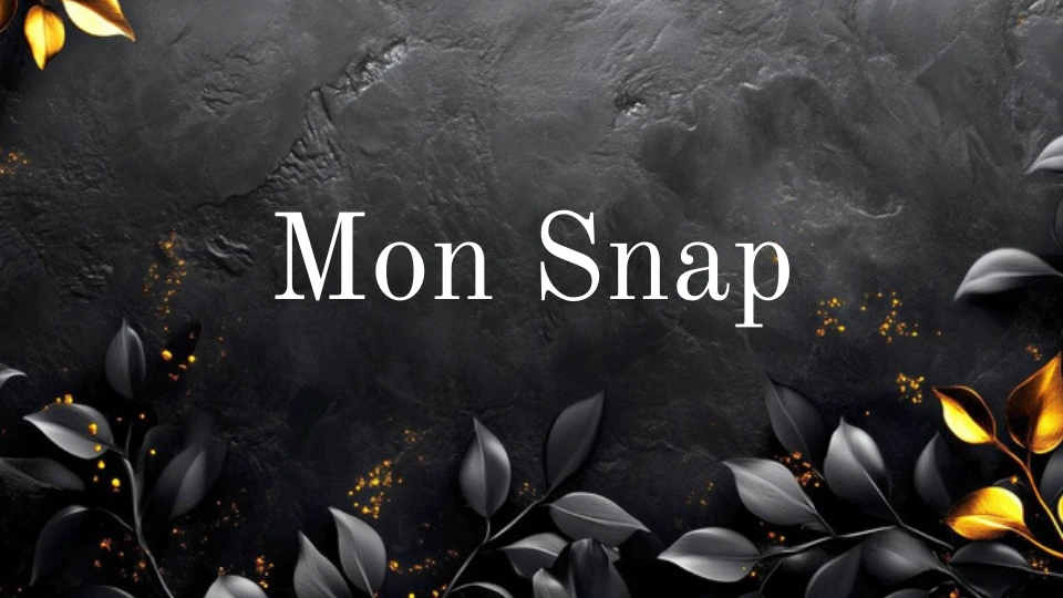 Photo de Accés à mon Snap 👻
