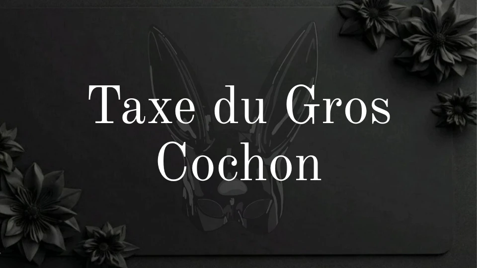 Photo de Taxe du gros cochon 🐷