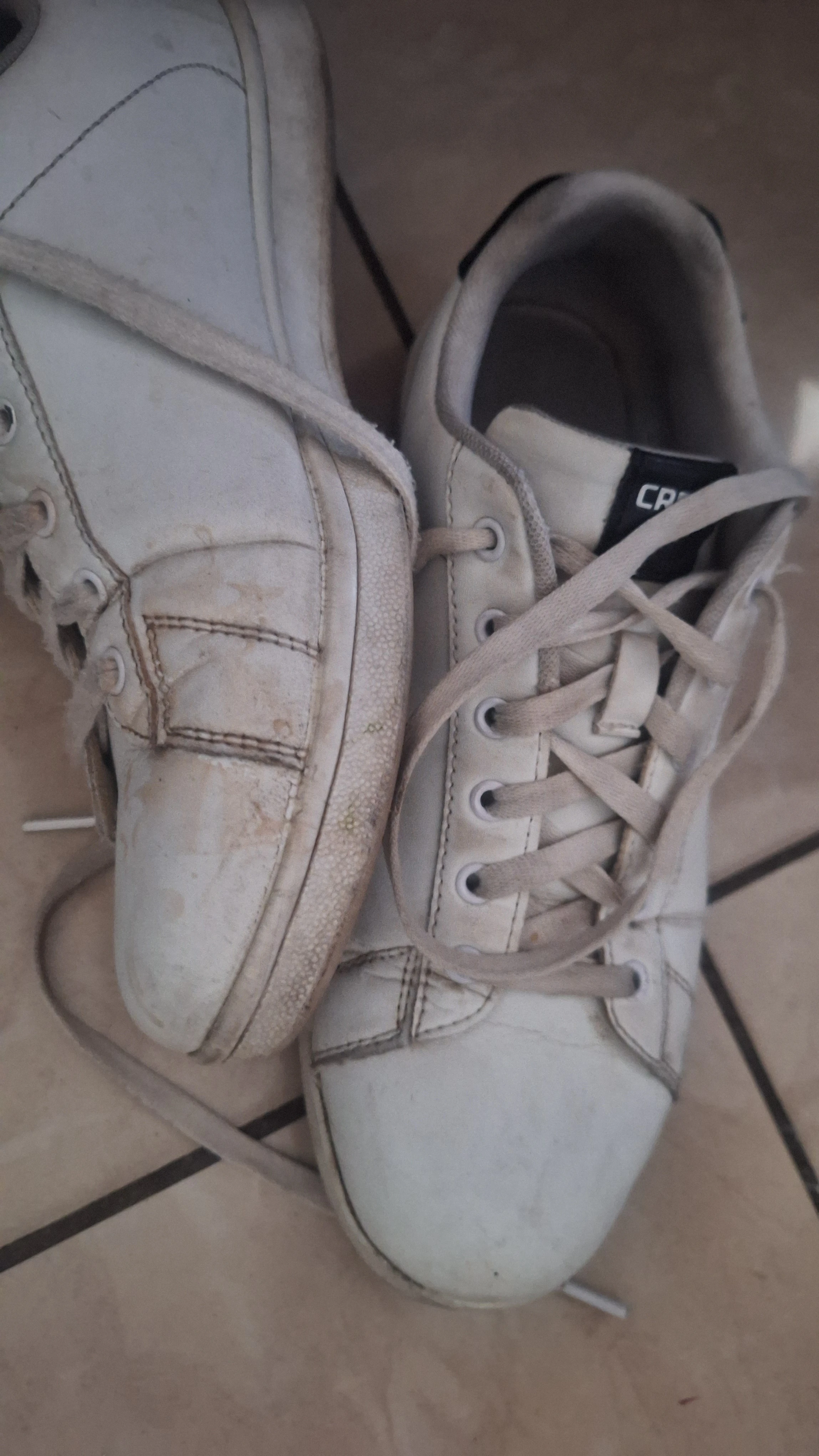 Photo de Nettoie mes baskets clébard 🐕
