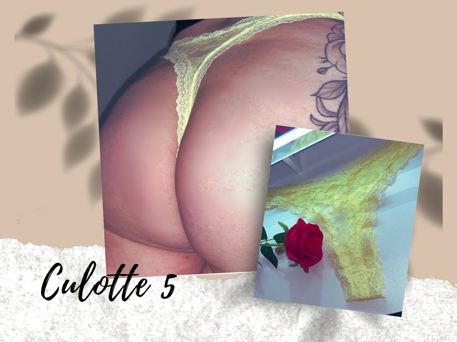 Photo de Mes culottes 👙