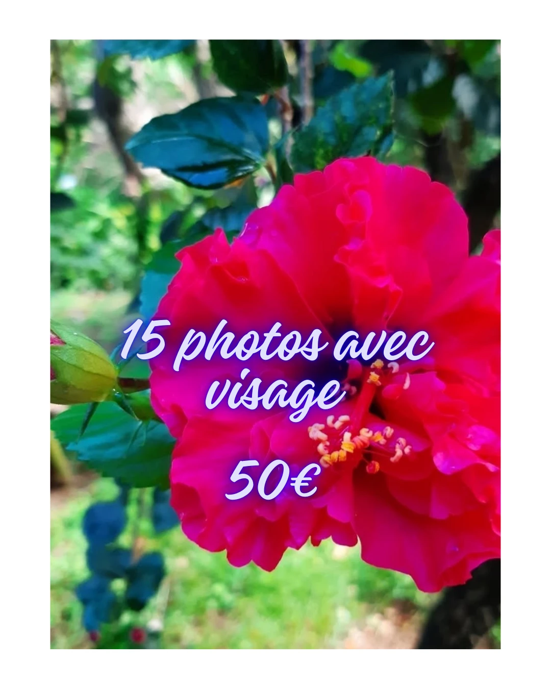 Photo de 15 photos avec visage