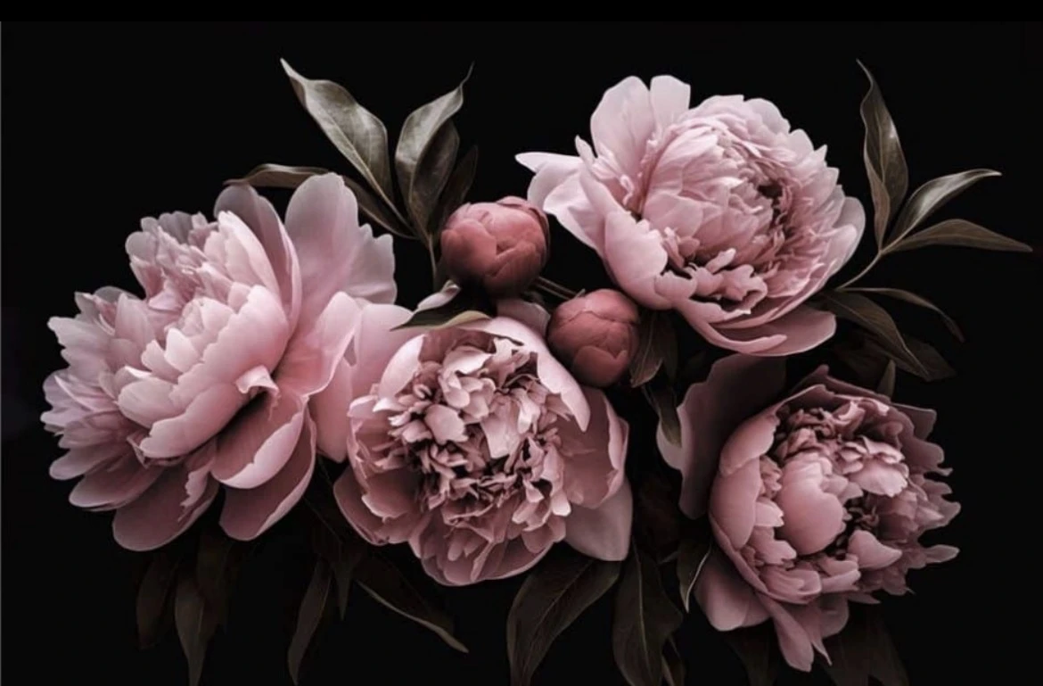 Photo de Une Délicate Pivoine pour Moi ? 🌸