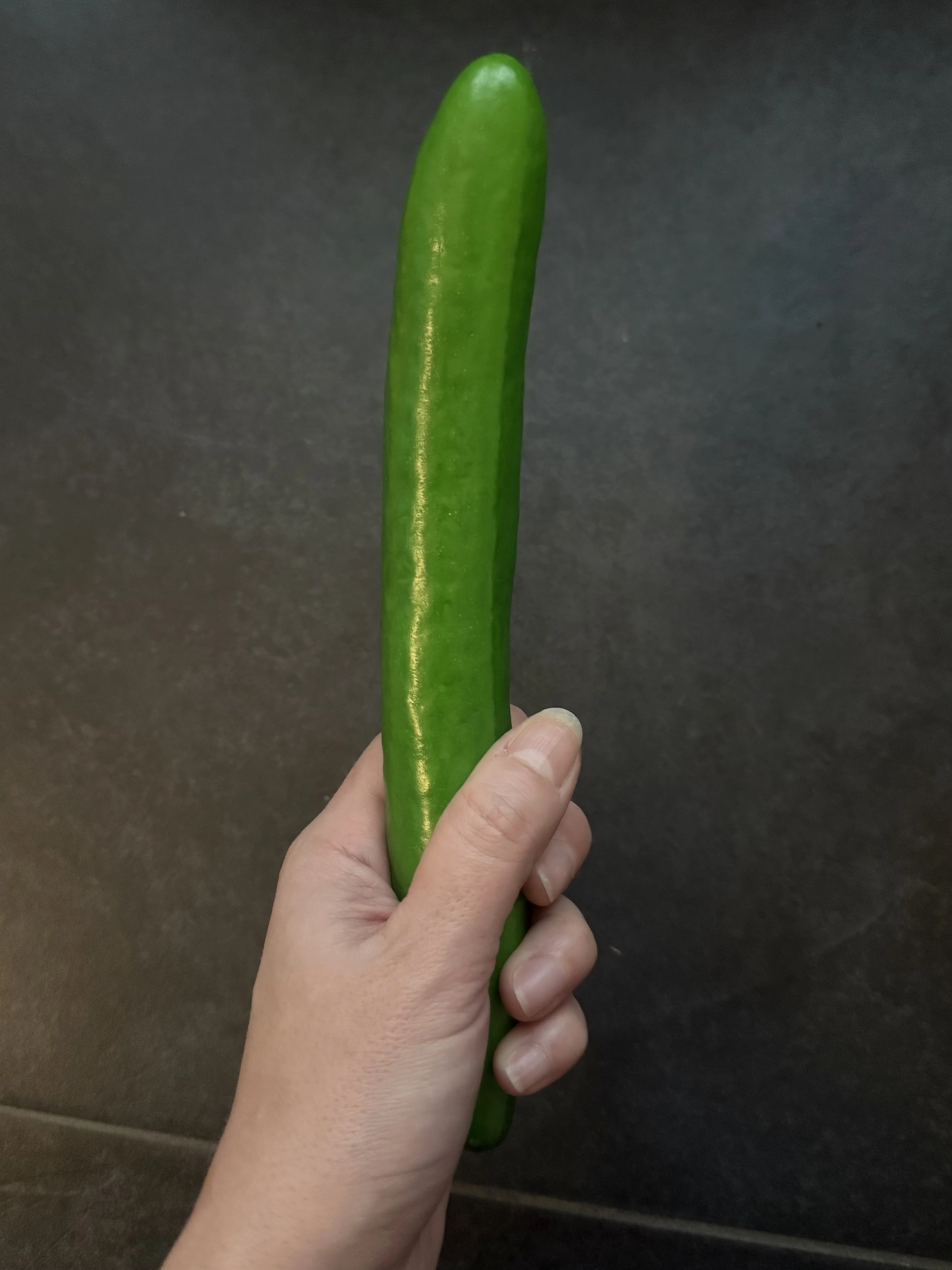 Photo de Concombre plastique