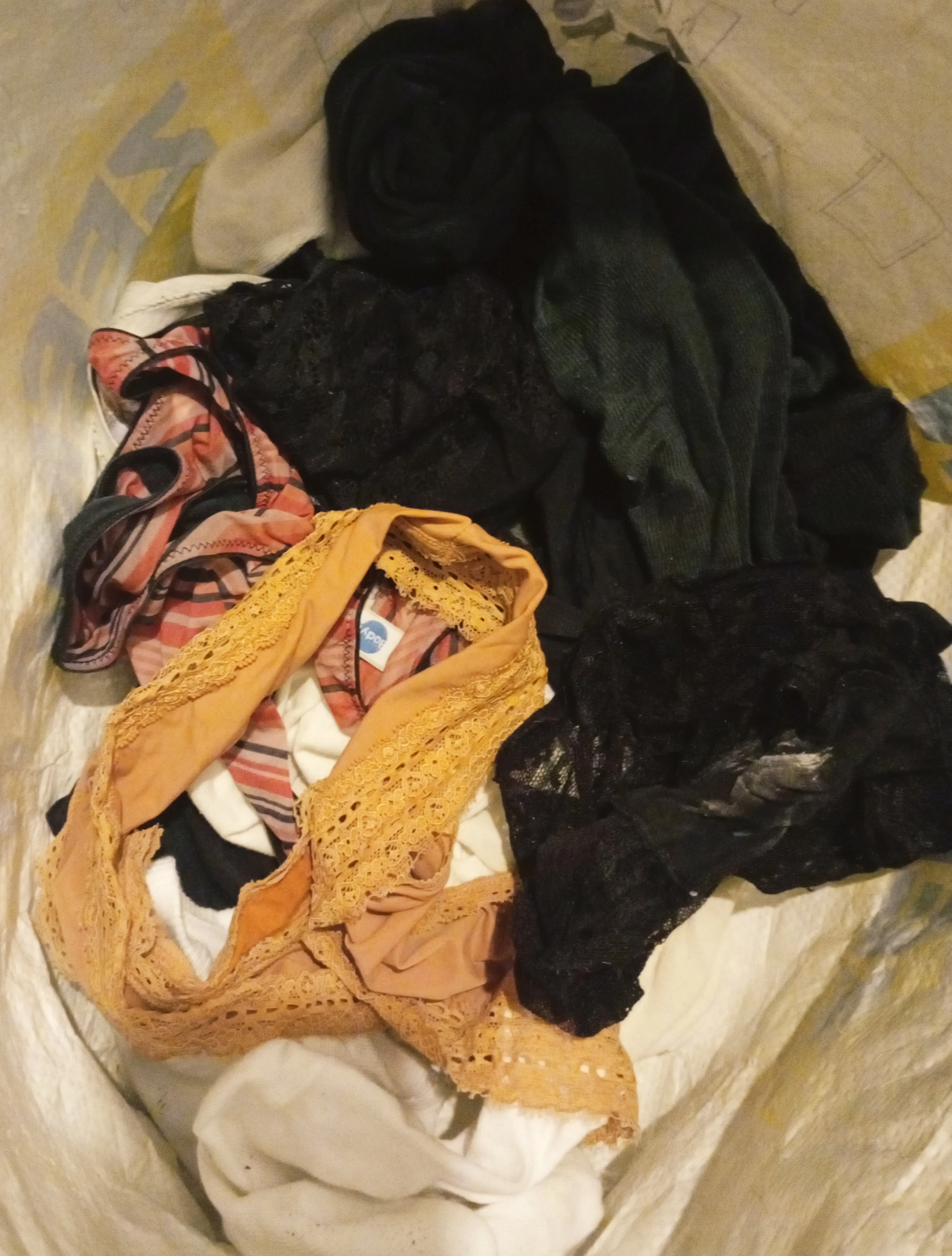 Photo de Souvenirs de vacances