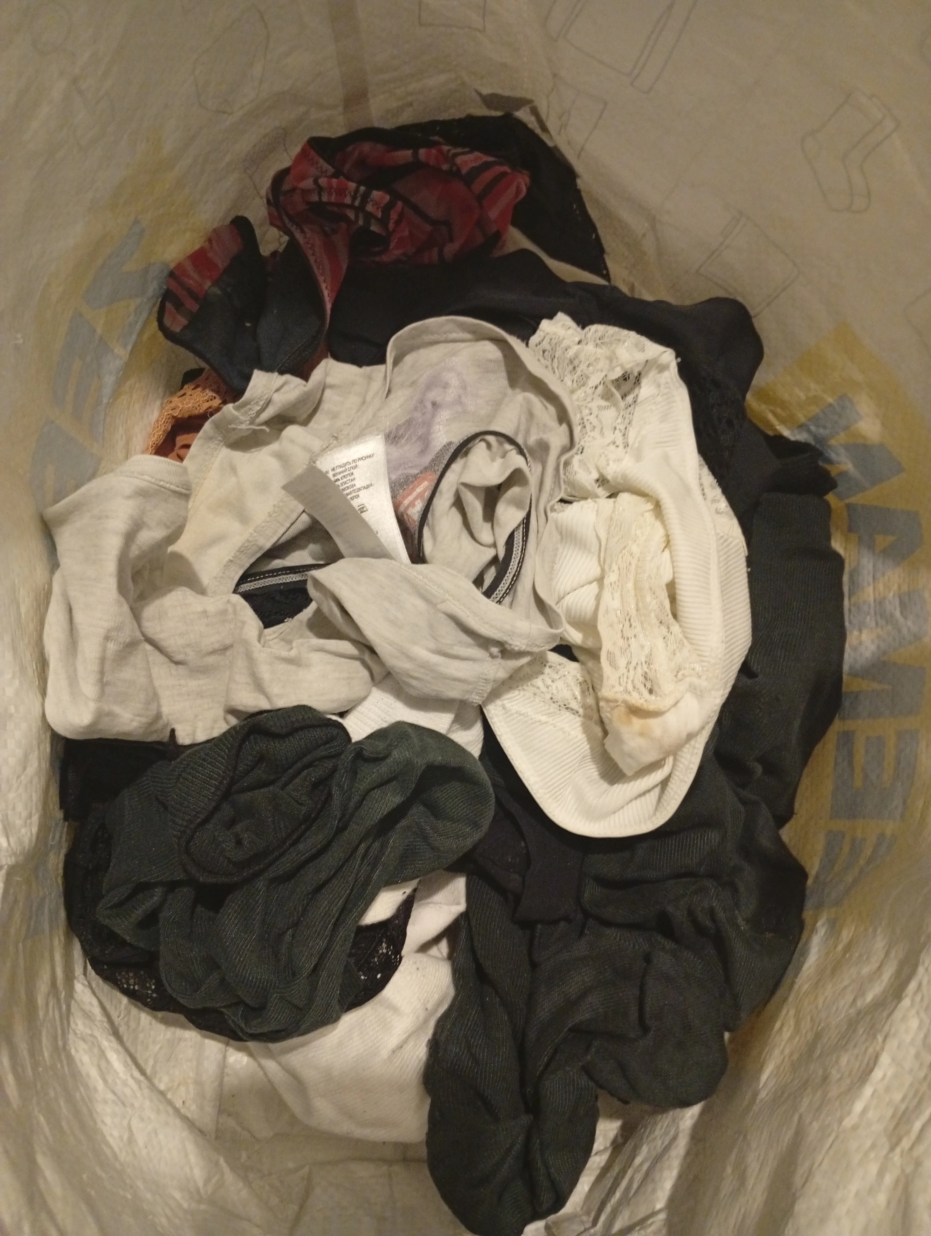 Photo de Souvenirs de vacances