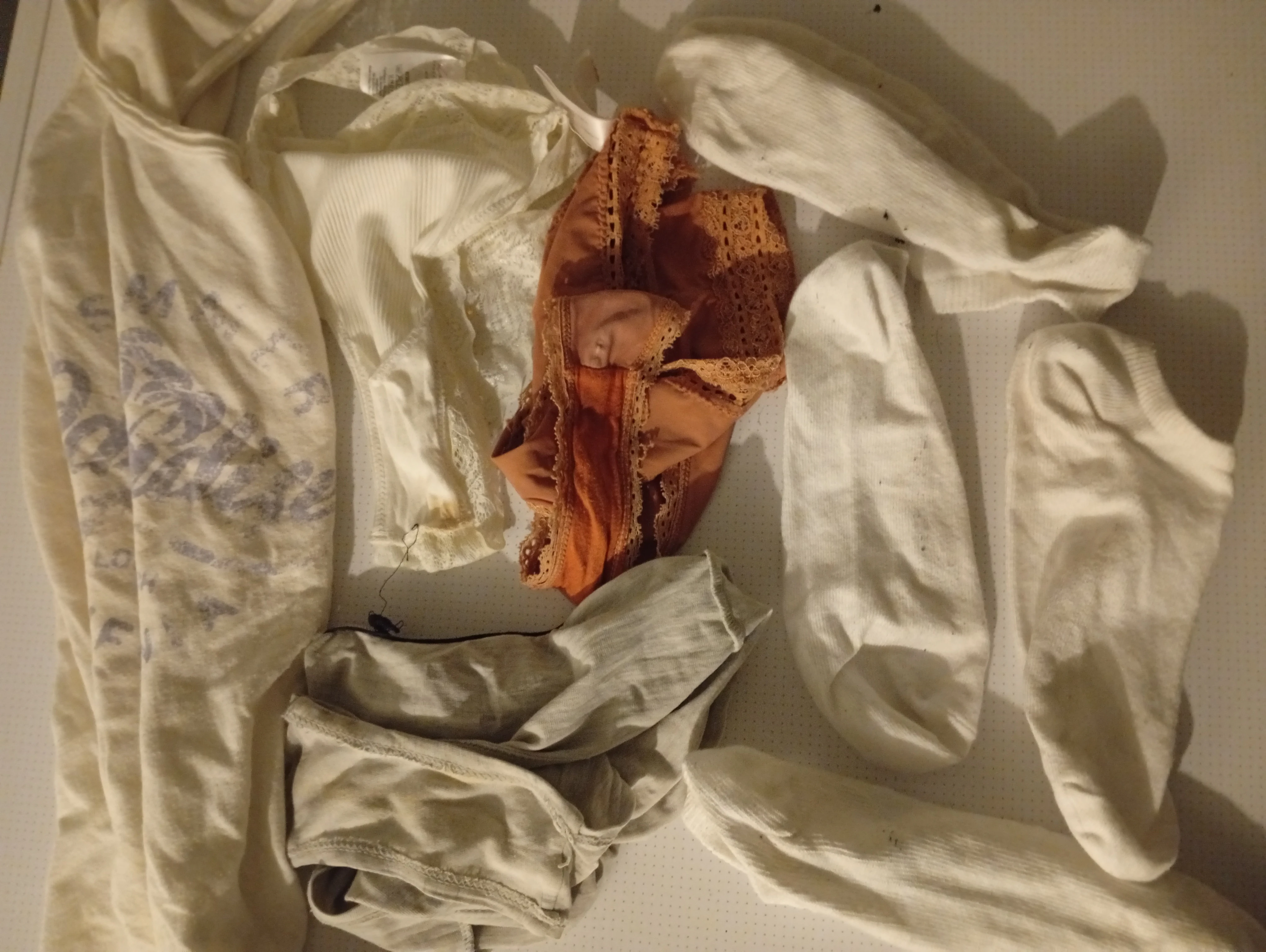 Photo de Souvenirs de vacances