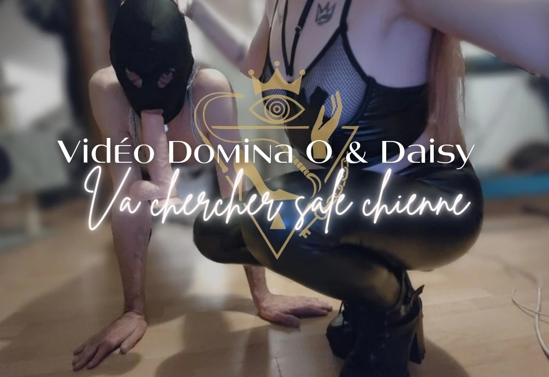 Photo de Va chercher sale chienne