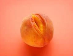 Photo de Photos et vidéo courte abricot poilu