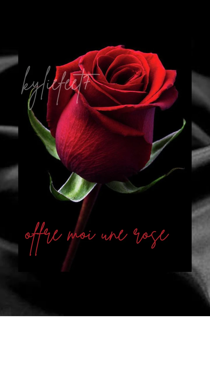 Photo de Offre moi une rose 🌹🔥