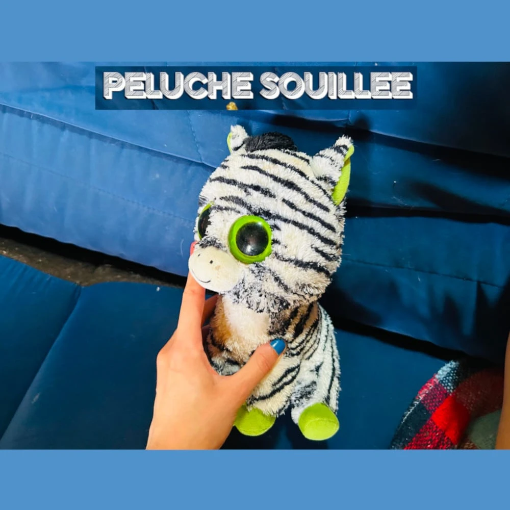 Photo de Peluche souillée + vidéo de 5 minutes ​🧸📹​