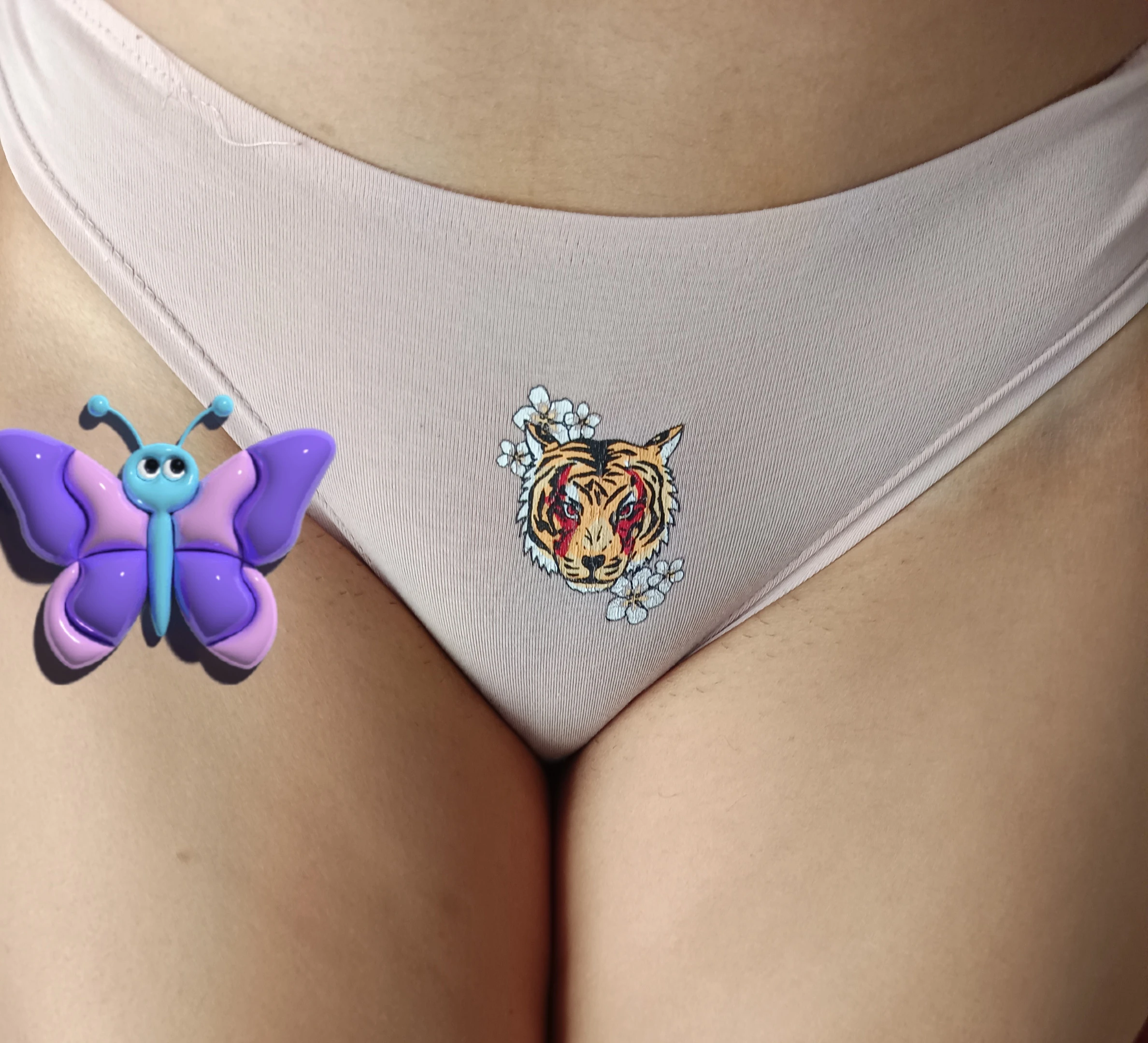 Photo de culotte tigre 🐯