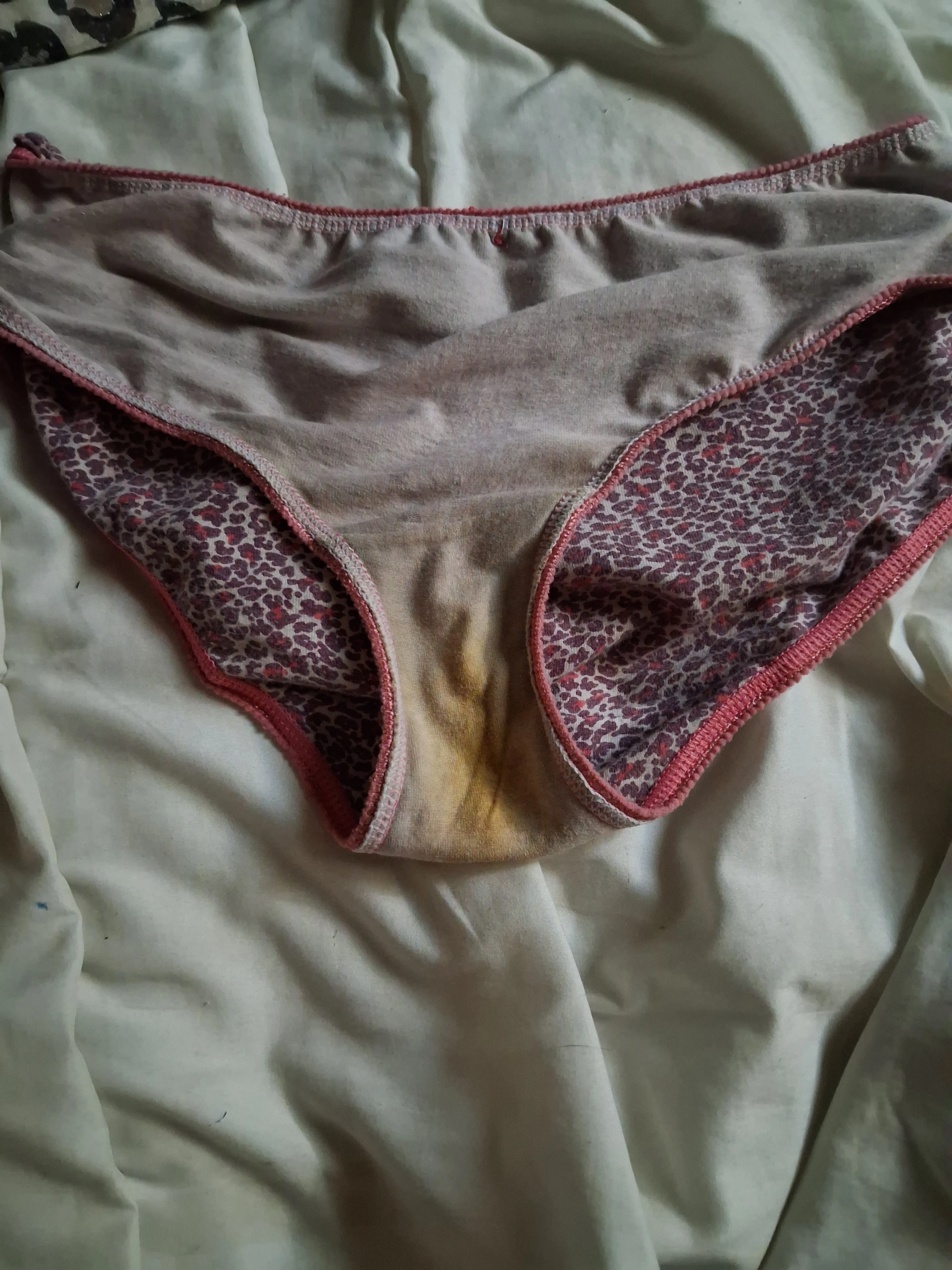 Photo de Culotte 4 jours