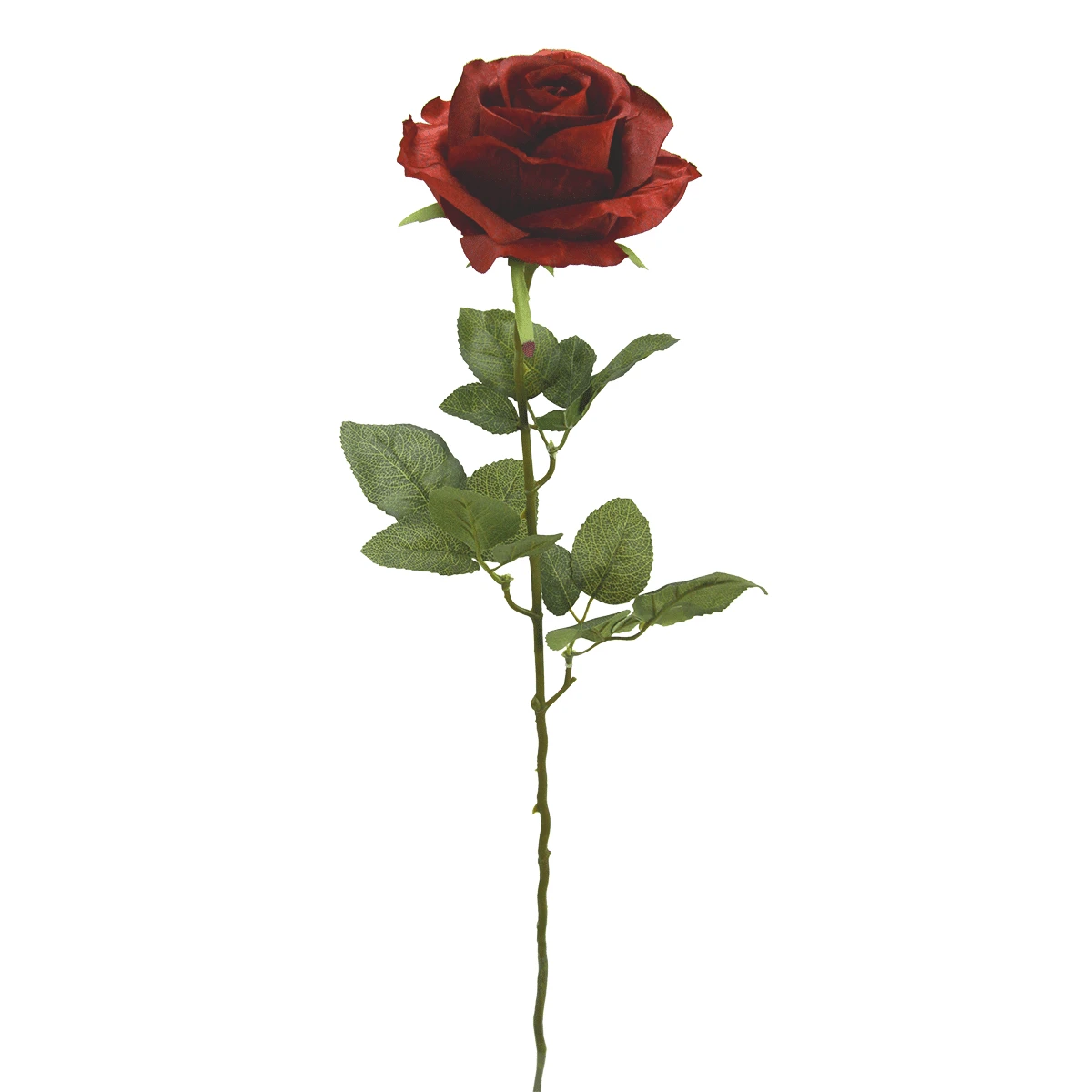 Photo de Une rose, une preuve, un sourire.