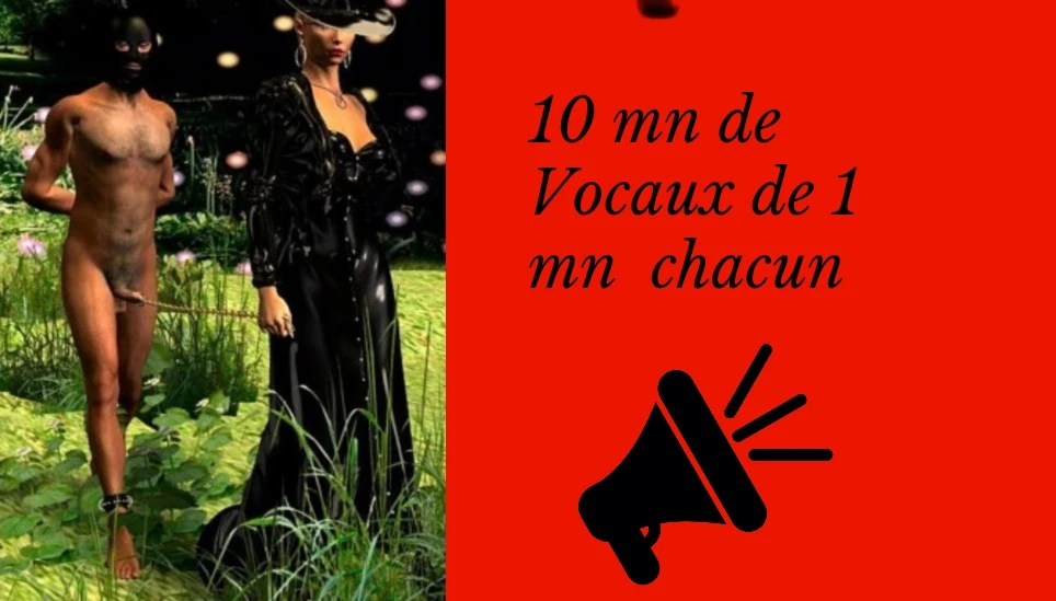 /682da3d52b90a.webp