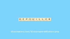Photo de Je dépouille virtuellement