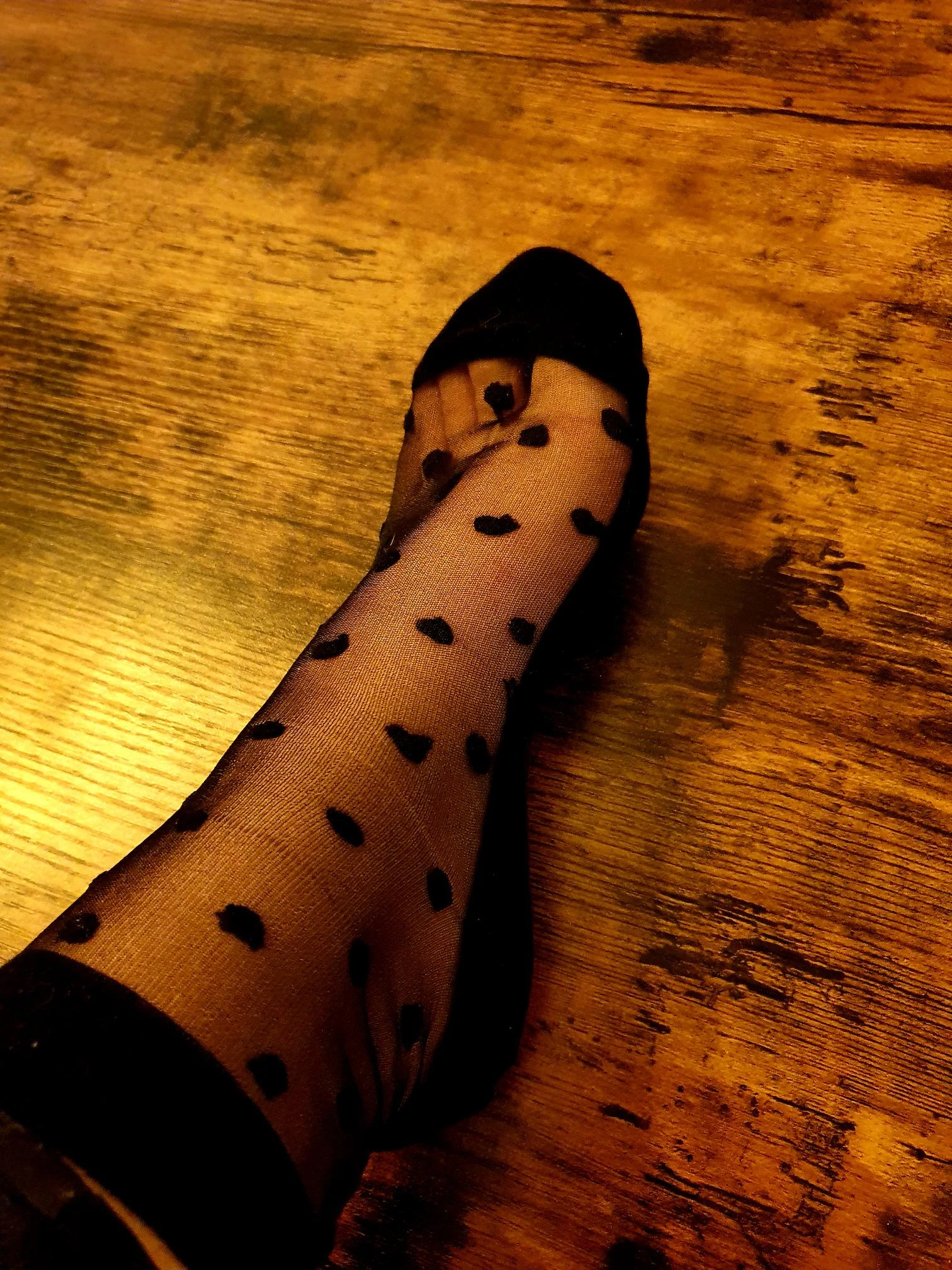 Photo de Socks
