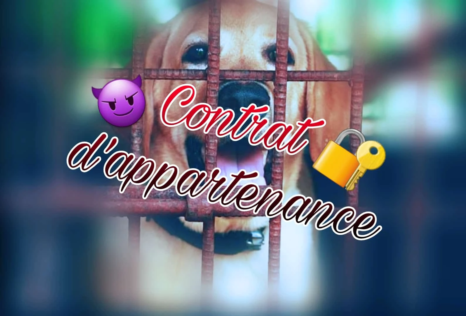 Photo de Contrat d’appartenance !