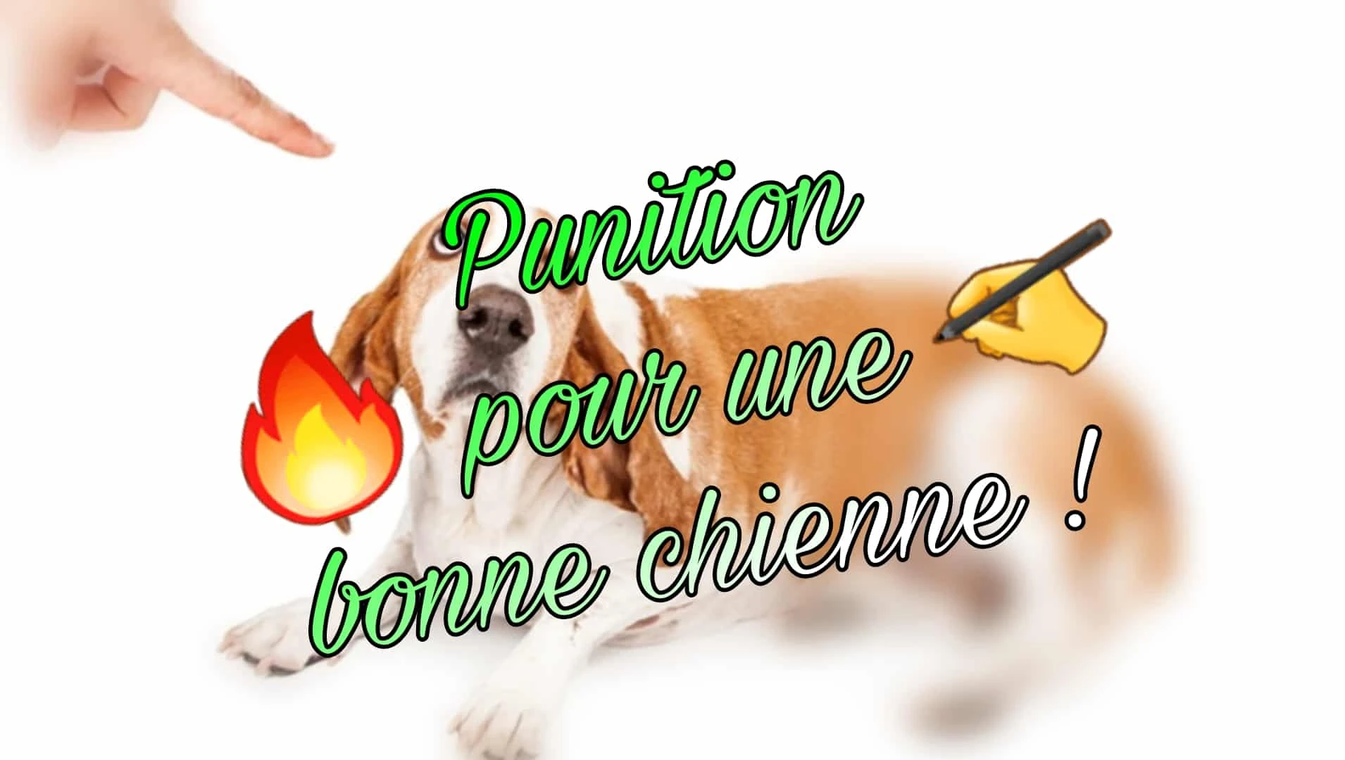 Photo de Punition/affichage !