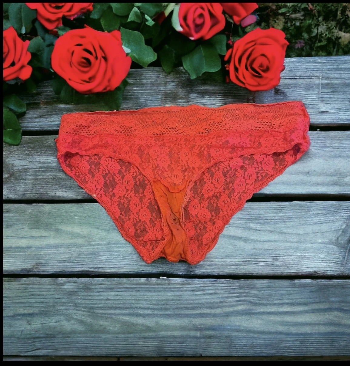 Photo de Culotte portée