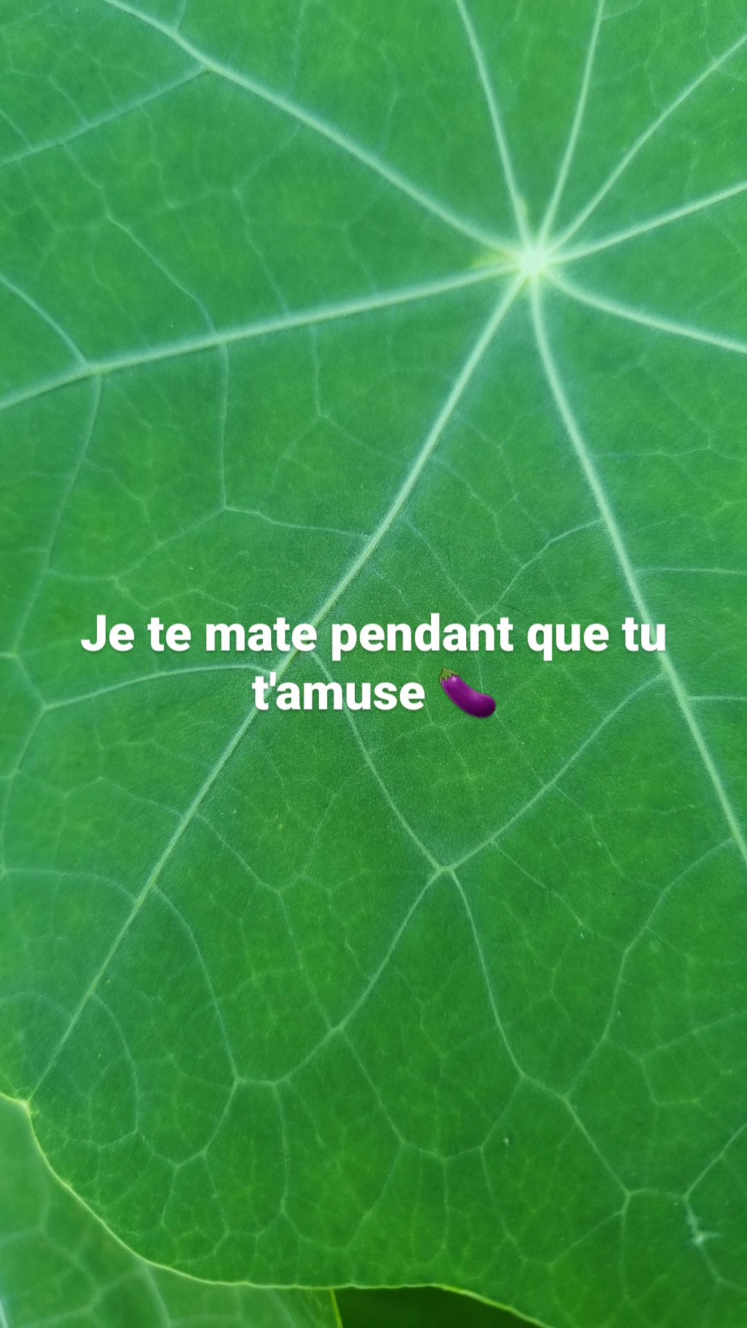 Photo de je te mate mon chéri 🥰