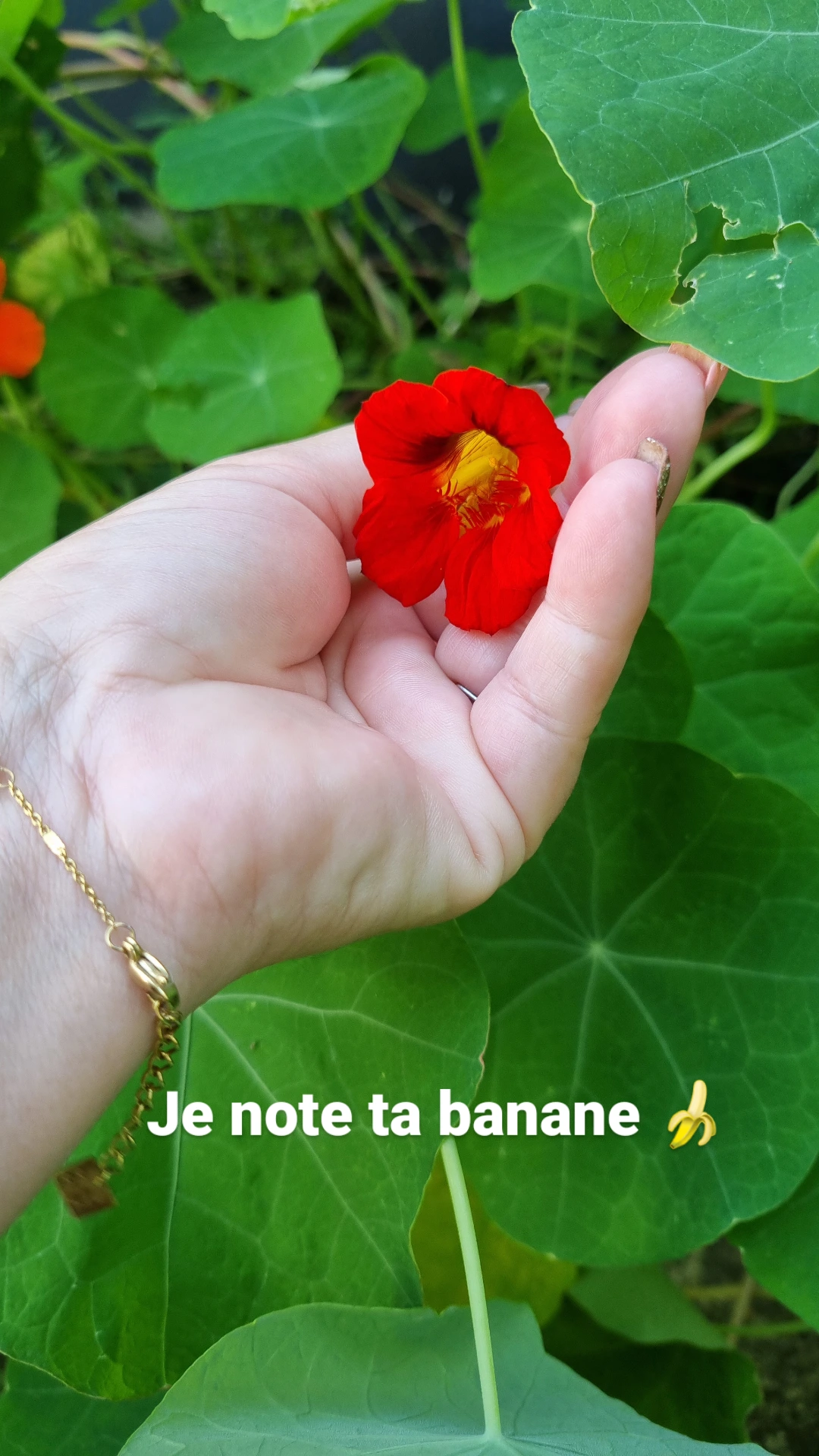 Photo de femme mûre qui note ton sexe 😇😇